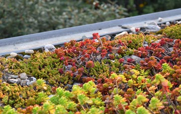 the cost of Rigg green roof installation