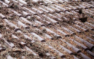 Rigg roof cleaning companies