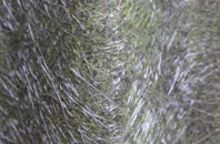 Rigg fibreglass roof work